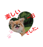 武居familiar8（個別スタンプ：5）