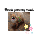 武居familiar8（個別スタンプ：8）