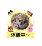 武居familiar8（個別スタンプ：10）