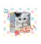 武居familiar8（個別スタンプ：13）
