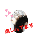 武居familiar8（個別スタンプ：14）