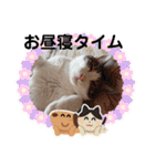 武居familiar8（個別スタンプ：16）