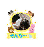 武居familiar8（個別スタンプ：17）