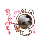 武居familiar8（個別スタンプ：25）