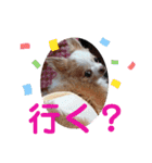 武居familiar8（個別スタンプ：26）