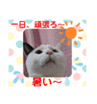 武居familiar8（個別スタンプ：29）