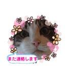 武居familiar8（個別スタンプ：34）
