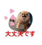 武居familiar8（個別スタンプ：38）