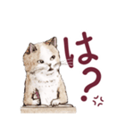 猫のキミとダスキス① 〜お気楽スタンプ〜（個別スタンプ：25）