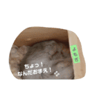 和菓子名のはむすたー（個別スタンプ：20）