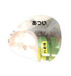 和菓子名のはむすたー（個別スタンプ：37）