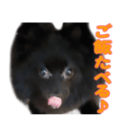 大好きなくぅーちゃん（個別スタンプ：1）