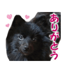 大好きなくぅーちゃん（個別スタンプ：6）