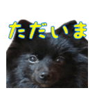 大好きなくぅーちゃん（個別スタンプ：7）