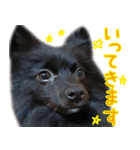 大好きなくぅーちゃん（個別スタンプ：10）