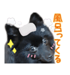 大好きなくぅーちゃん（個別スタンプ：11）