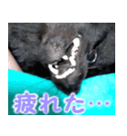 大好きなくぅーちゃん（個別スタンプ：12）