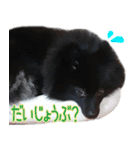 大好きなくぅーちゃん（個別スタンプ：13）