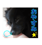 大好きなくぅーちゃん（個別スタンプ：14）