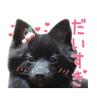 大好きなくぅーちゃん（個別スタンプ：15）