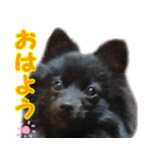 大好きなくぅーちゃん（個別スタンプ：16）