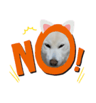 モモ姉さんのLINEスタンプ（個別スタンプ：2）