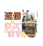 モモ姉さんのLINEスタンプ（個別スタンプ：3）