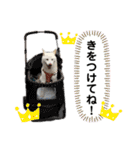 モモ姉さんのLINEスタンプ（個別スタンプ：9）