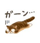 使いやすい☆猫たちのスタンプ 5（個別スタンプ：31）