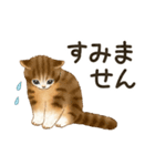 使いやすい☆猫たちのスタンプ 5（個別スタンプ：33）