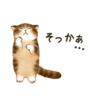 使いやすい☆猫たちのスタンプ 5（個別スタンプ：34）