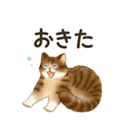 使いやすい☆猫たちのスタンプ 5（個別スタンプ：36）