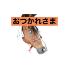 アイ＆パールただ今勉強中（個別スタンプ：3）