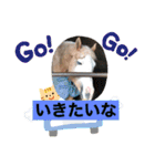 アイ＆パールただ今勉強中（個別スタンプ：5）