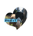 アイ＆パールただ今勉強中（個別スタンプ：6）