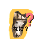 アイ＆パールただ今勉強中（個別スタンプ：9）