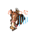 アイ＆パールただ今勉強中（個別スタンプ：17）