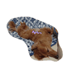 癒しのダックス（個別スタンプ：4）