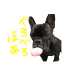 大吉くんスタンプ その2（個別スタンプ：11）