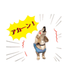 ハクくん by晩ママ（個別スタンプ：2）