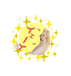ハクくん by晩ママ（個別スタンプ：17）