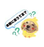 ハクくん by晩ママ（個別スタンプ：23）
