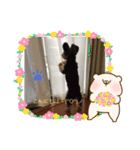 Paddiの日常（個別スタンプ：8）