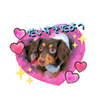 四丸スタンプ（個別スタンプ：1）