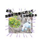 四丸スタンプ（個別スタンプ：8）