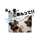 四丸スタンプ（個別スタンプ：34）