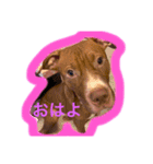 くんくんじぇいじぇい3（個別スタンプ：1）