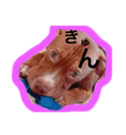 くんくんじぇいじぇい3（個別スタンプ：6）