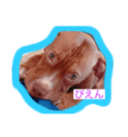 くんくんじぇいじぇい3（個別スタンプ：11）