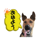 フライ♪フライ♪フライ♪（個別スタンプ：1）